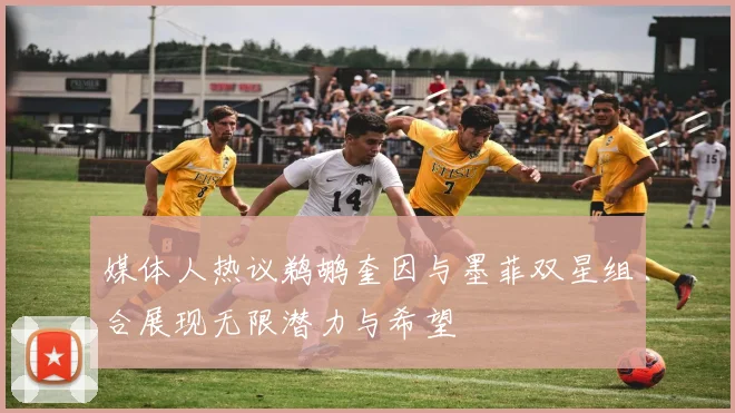 媒体人热议鹈鹕奎因与墨菲双星组合展现无限潜力与希望