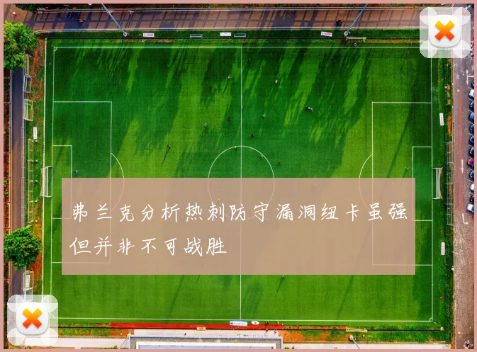 弗兰克分析热刺防守漏洞纽卡虽强但并非不可战胜