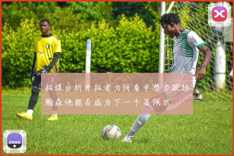 拓媒分析开拓者为何看中潜力股杨瀚森他能否成为下一个吕佩尔