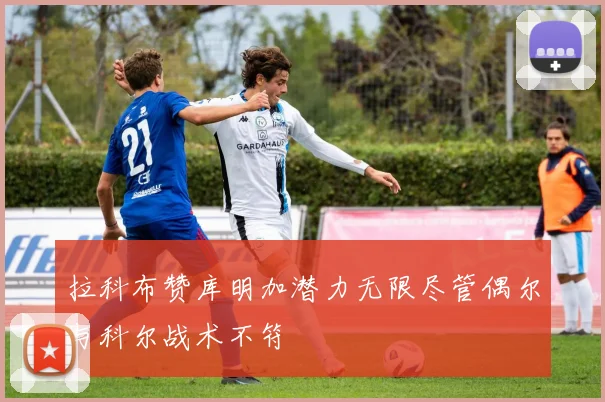 拉科布赞库明加潜力无限尽管偶尔与科尔战术不符