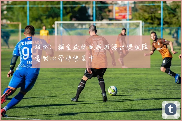狼记：掘金森林狼数据源出现故障需耐心等待修复中
