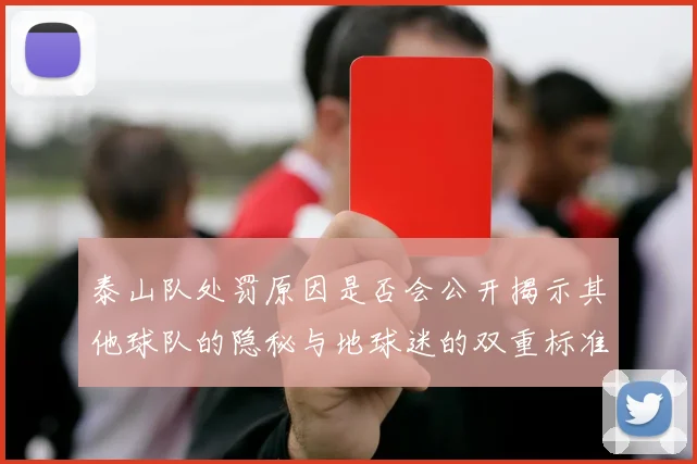 泰山队处罚原因是否会公开揭示其他球队的隐秘与地球迷的双重标准
