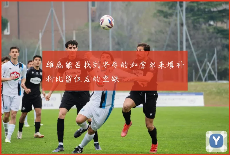 雄鹿能否找到字母的加索尔来填补科比留住后的空缺