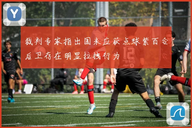 裁判专家指出国米应获点球紫百合后卫存在明显拉拽行为